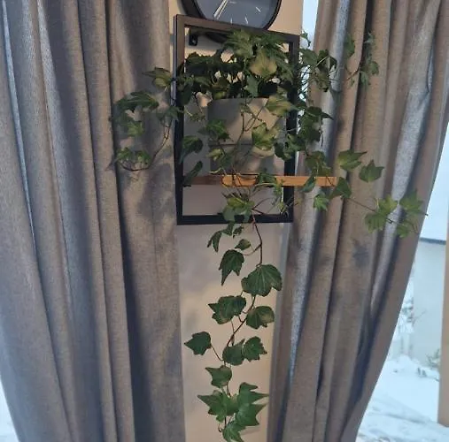 Brzuchem Do Gory Vakantiehuis Chocieszow